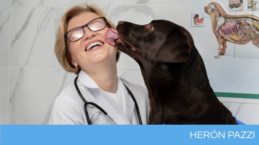 Perro lamiendo a su médica veterinaria